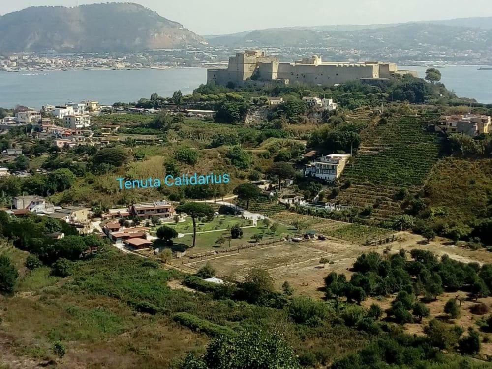 Tenuta Calidarius Baia  ภายนอก รูปภาพ